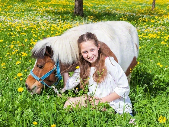 Frühlingswiese Hinterkeilhoflehen