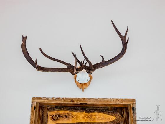 Hirschgeweih an der Unternbergalm.