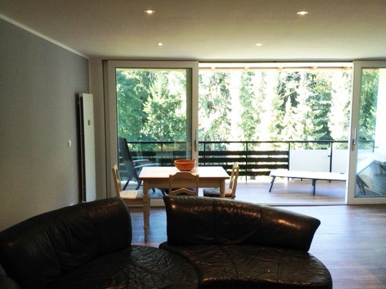 Wohnzimmeransicht1 Ferienwohnung Von der Felsen