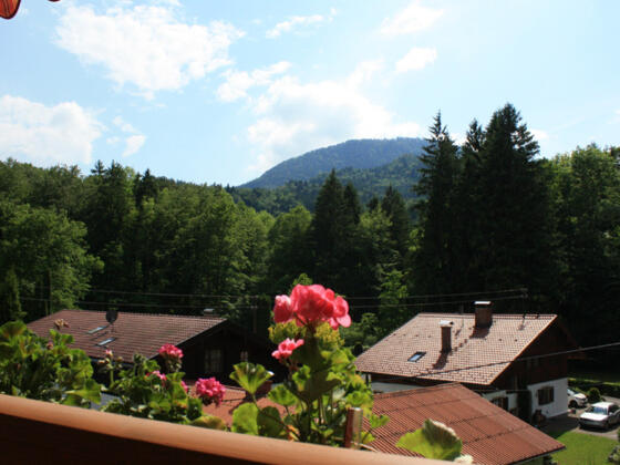 Ausblick vom Balkon.jpg