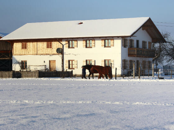 Das Gästehaus im Winter