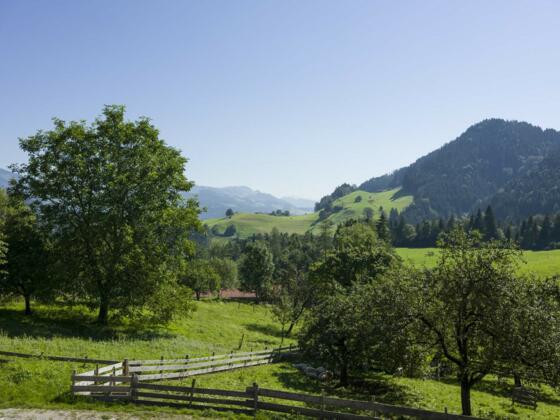 wunderschöne Aussicht