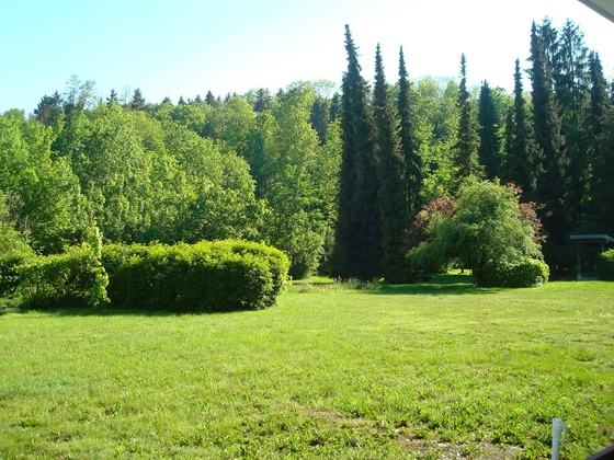 Aussicht vom Balkon Ferienwohnung Stettner