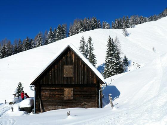 Kreuzbauernalm 1460m