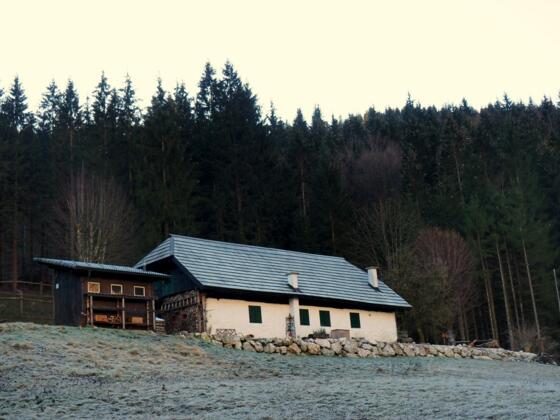 Jausenstation Mair Am 789m