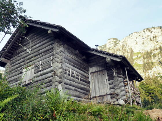 Grünbergalm-Jagdhütte ~1250m