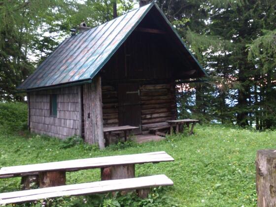 Parnstaller Alm 1165m