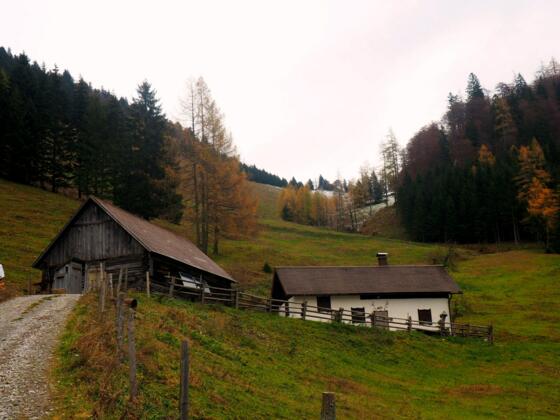 Menaueralm 1115m, Menauersattel im Hintergrund