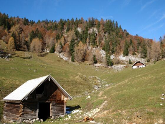 Sommeraueralm 1186 m
