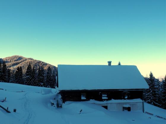 Inselbacher Alm ~1.130m