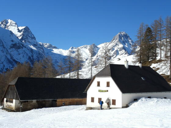 Schafferreith ~1040m