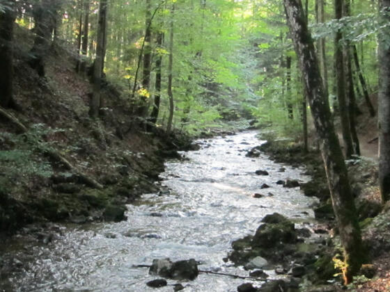 Helenenweg Wanderweg