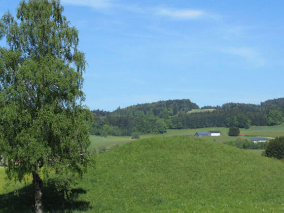Keltenhügel Oberhofen