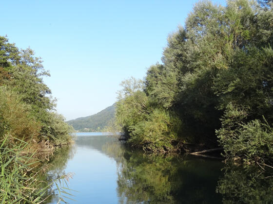 Naturschutzgebiet  Mündung Fuschler Ache