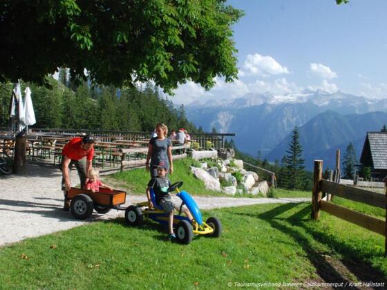 Alpengasthaus Hütteneck in Bad Goisern