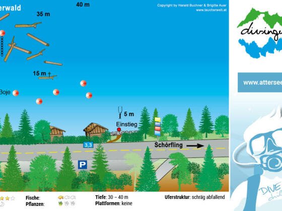 tauchplatz_unterwasserwald