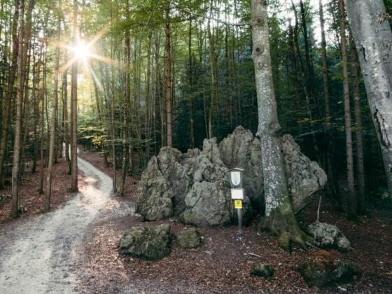 Einsiedlerstein am Siriuskogl