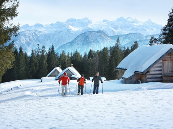 Sport Zopf in Bad Goisern