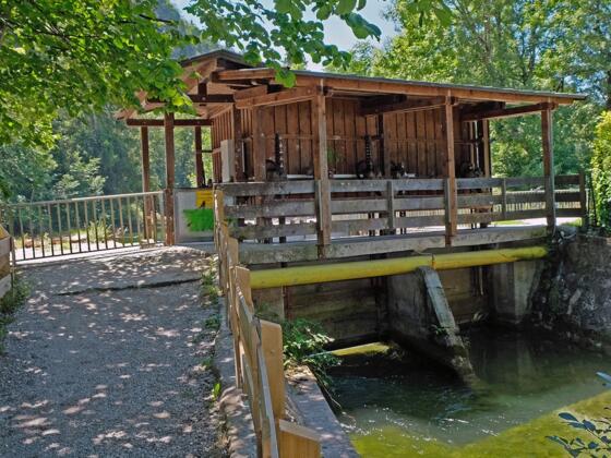 Wehranlage Kohlstatt - Station 10 Kieferer Energiewanderweg