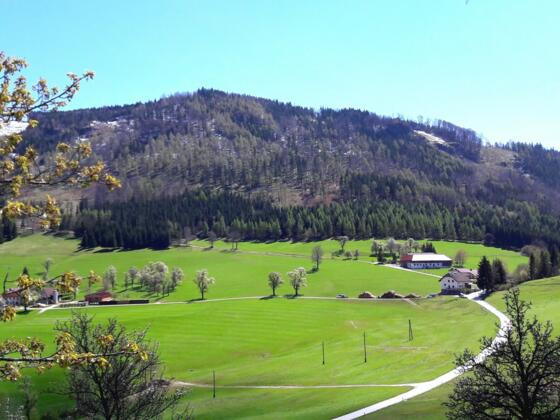 Hirschwaldstein 1.095m