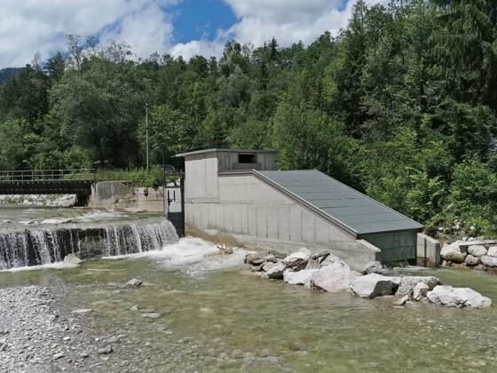 Marblingschnecke - Station 16 Energiewanderweg