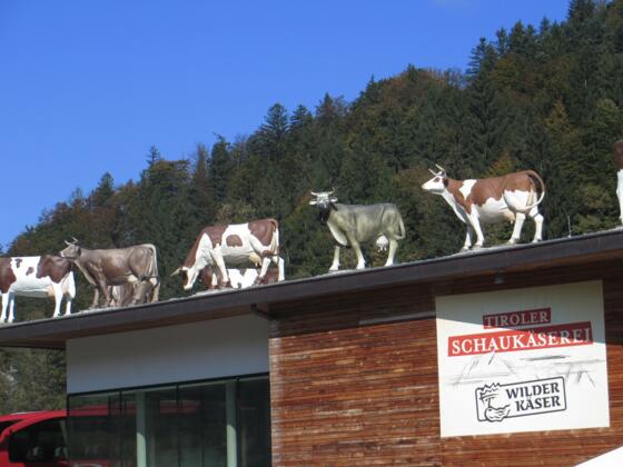 Schaukkäserei, hier abbiegen