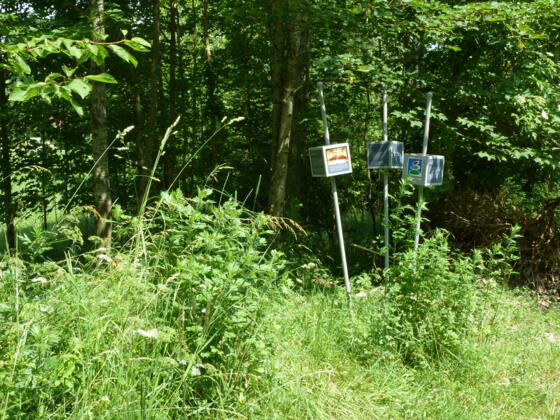 Trilogieplatz Altusried