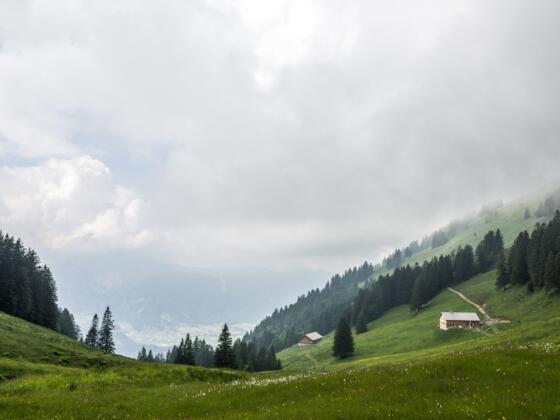 Alpe Greußings Wildmoos
