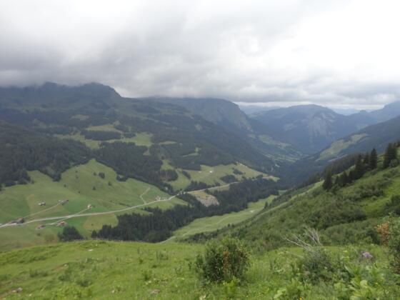 Blick von der Bartholomäusalpe über die Auffahrt von Au nach Damüls