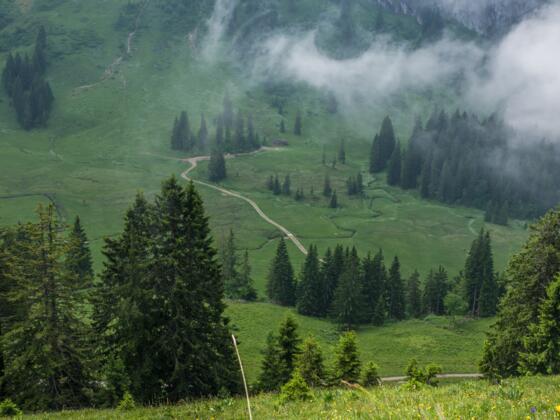 Blick auf Stongenalpe, Bezau