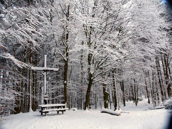 Nordgipfel mit Kreuz, 610m