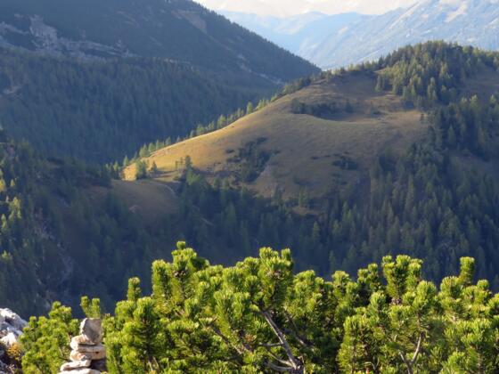 Hals vom Stubwieswipfel aus gesehen