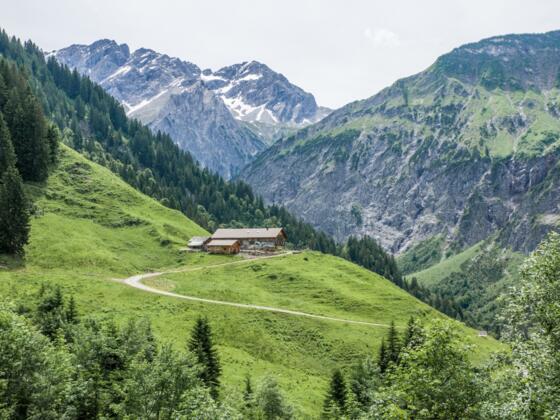Blick auf Heimenwaldalpe