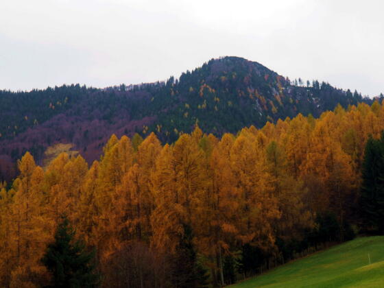 Mittagstein 1260m von Steinbach 547m