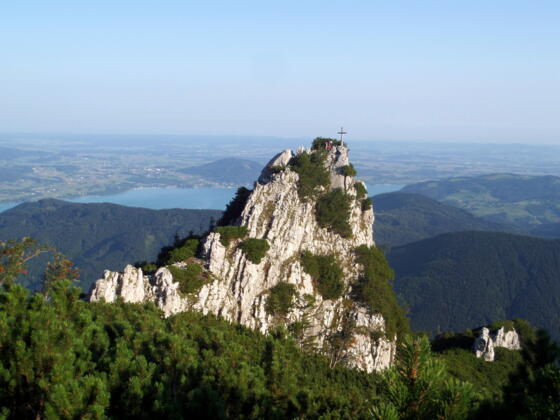 Brunnkogel 1446m