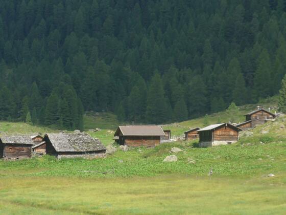 Die Vordere Trojeralm