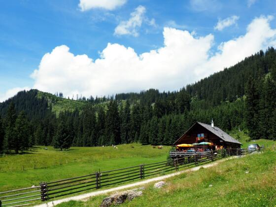 Iglmoosalm 1.206m mit Rosenkogel