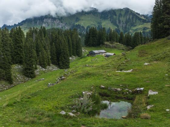 Blick auf Obere Sattelalpe