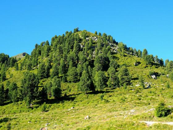 Rauher Kopf 2111m, von der Peter-Anich-Hütte