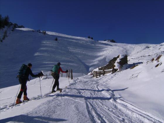 Winterstelleralm im Winter