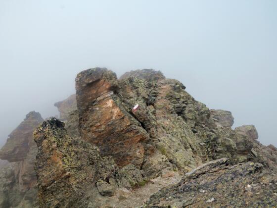 Rotpleiskopf Nordgrat