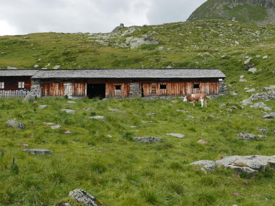 Oberseitalm (nicht mehr genutzt) 2290 m