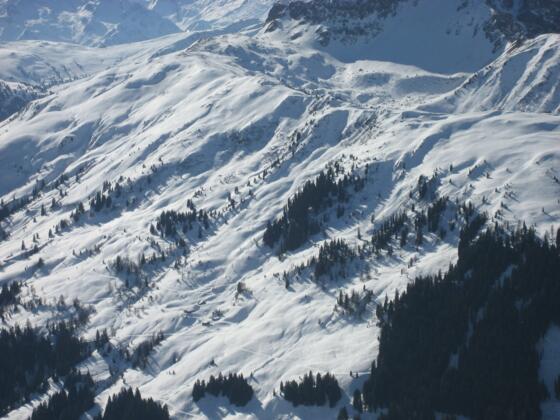 Leger-Hochalm im unteren Drittel des Bildes