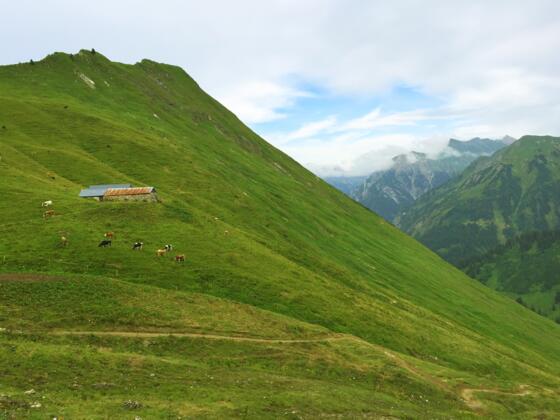Obere Spitalalpe (unbewirtschaftet)