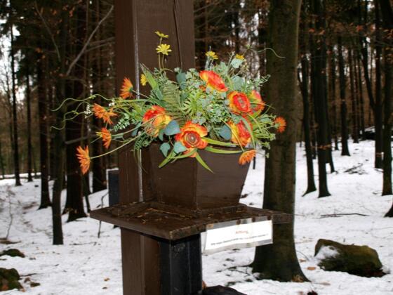 Pfenningberg Nord ~610m