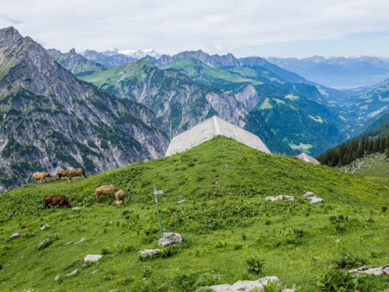 Obere Ischkarneialpe