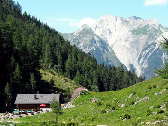 Vord. Malfonalpe 1687m