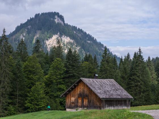 Ifer-Krähenbergalpe