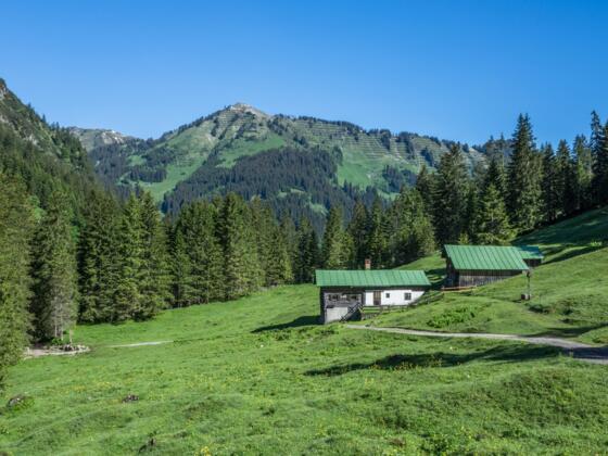 Blick auf Tonisgemstelalpe