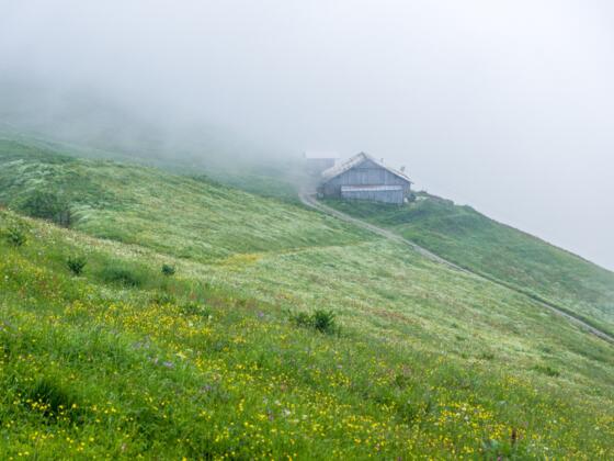 Blick auf Stongerhöhealpe